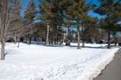 Snow Camp 2010